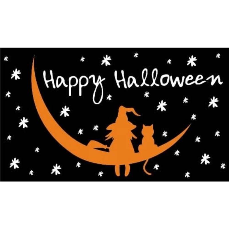 Happy Halloween Witch & Cat 5ft x 3ft flag