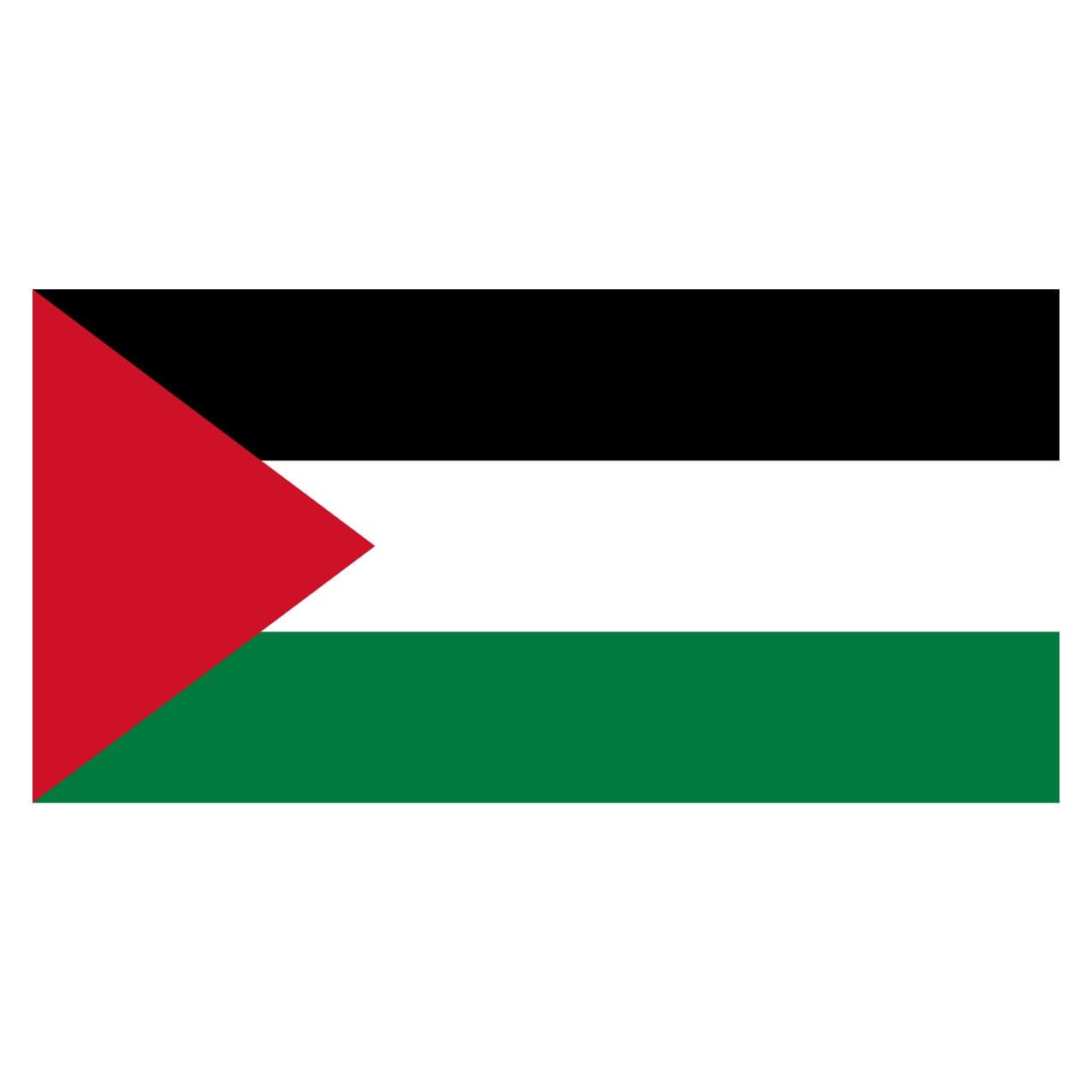 Home and Holiday Flags Palestine Polyester Flag 3' x 5
